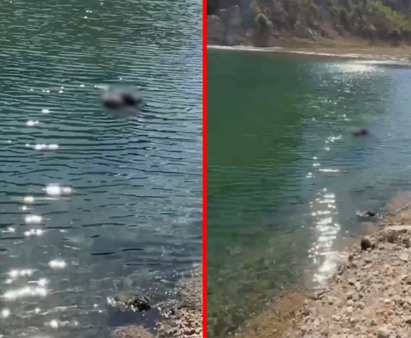 SİVEREK’TE NİSSİBİ KÖPRÜSÜ ALTINDA ERKEK CESEDİ BULUNDU!