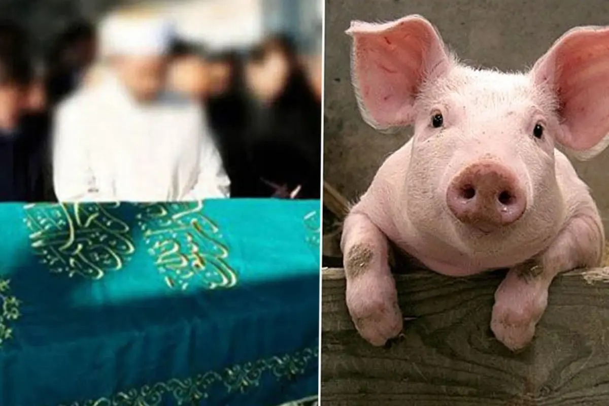 AYDIN’DA ŞOKE EDEN İDDİA: “BABAMIN HAYRINA” DİYE CAMİ ÖNÜNDE DOMUZ ETİ DAĞITMIŞ