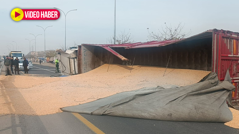 Karaköprü'de mısır yüklü tır devrildi;