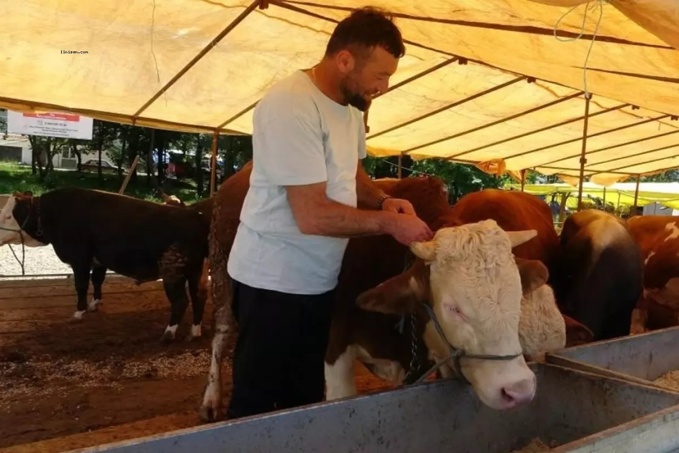 TÜRKİYE'Yİ ALARMA GEÇİREN HASTALIK! BAKANDAN KIRMIZI ET AÇIKLAMASI;