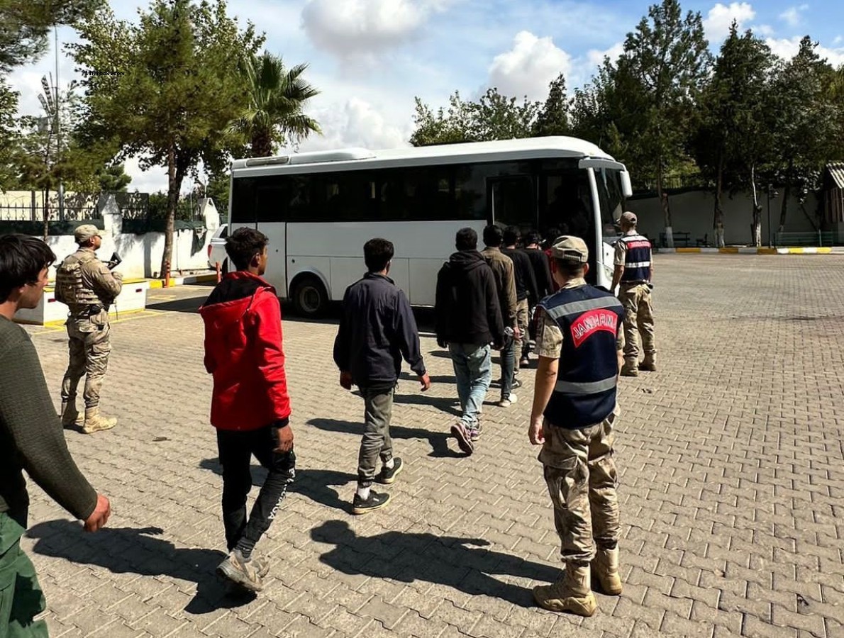 Urfa’da jandarmadan düzensiz göçmen operasyonu