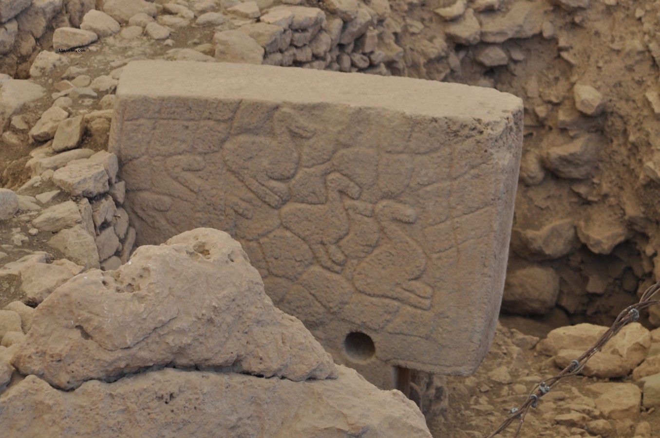 Göbekli Tepe Sakinlerinin Gizemli İnanç Dünyası, Semboller Işığında Aydınlatılıyor;