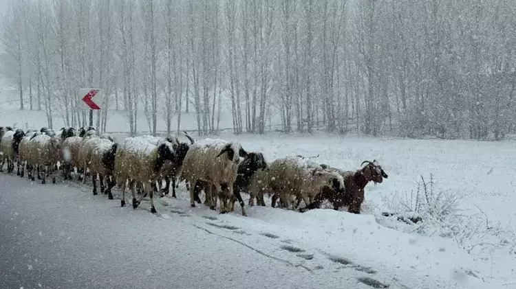 Başkale'de kar yağışı; ilçe beyaza büründü;