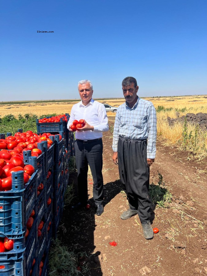 Şanlıurfa milletvekili çiftçilerin yanında;