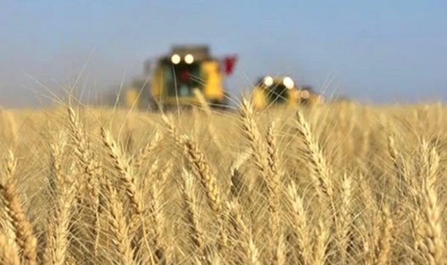 Buğday ve arpa alım fiyatları Şanlıurfalı üreticileri memnun etti;