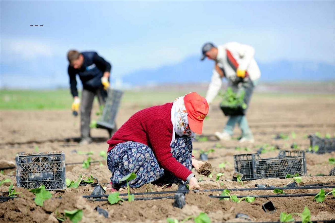 1 milyon 366 bin tarım arazisi bankalarda rehin;