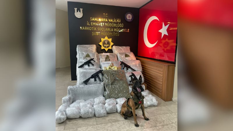 Şanlıurfa'da 170 kilo 700 gram skunk ele geçirildi;