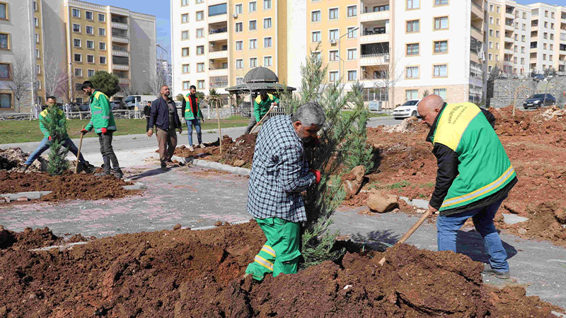 Seyrantepe'de 21 bin metrekarelik yeşil alan için çalışmalar sürüyor;