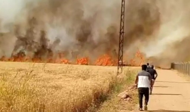 HARAN'DA BUĞDAY TARLASI YANGINI