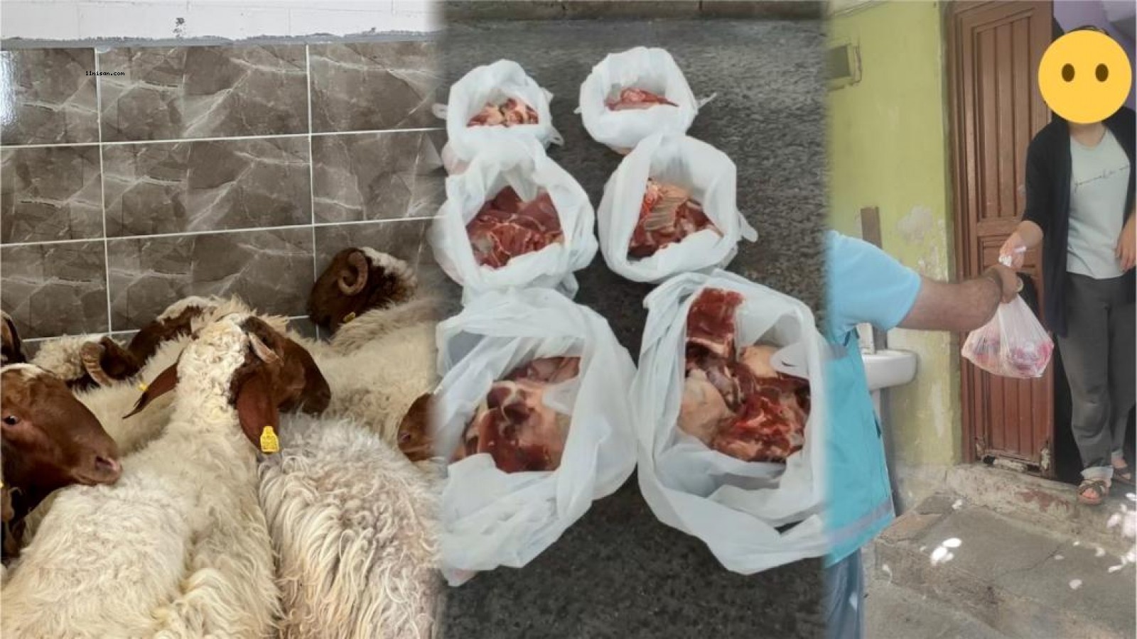 Eyyübiye Belediyesi’nden ihtiyaç sahibi aileler yardım!