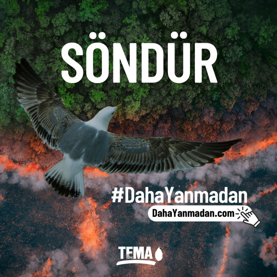 TEMA’dan ‘Orman Yangınları Farkındalık Projesi’;