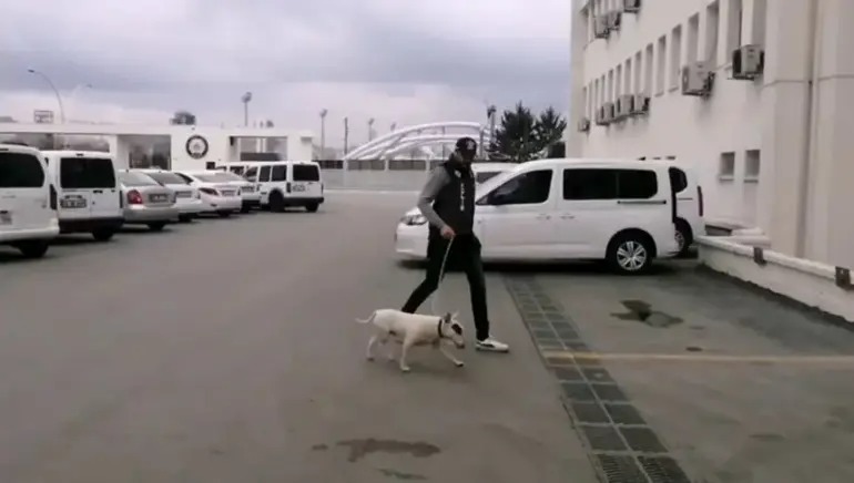 10 bin avro değerindeki köpeği çalan şüpheli tutuklandı;