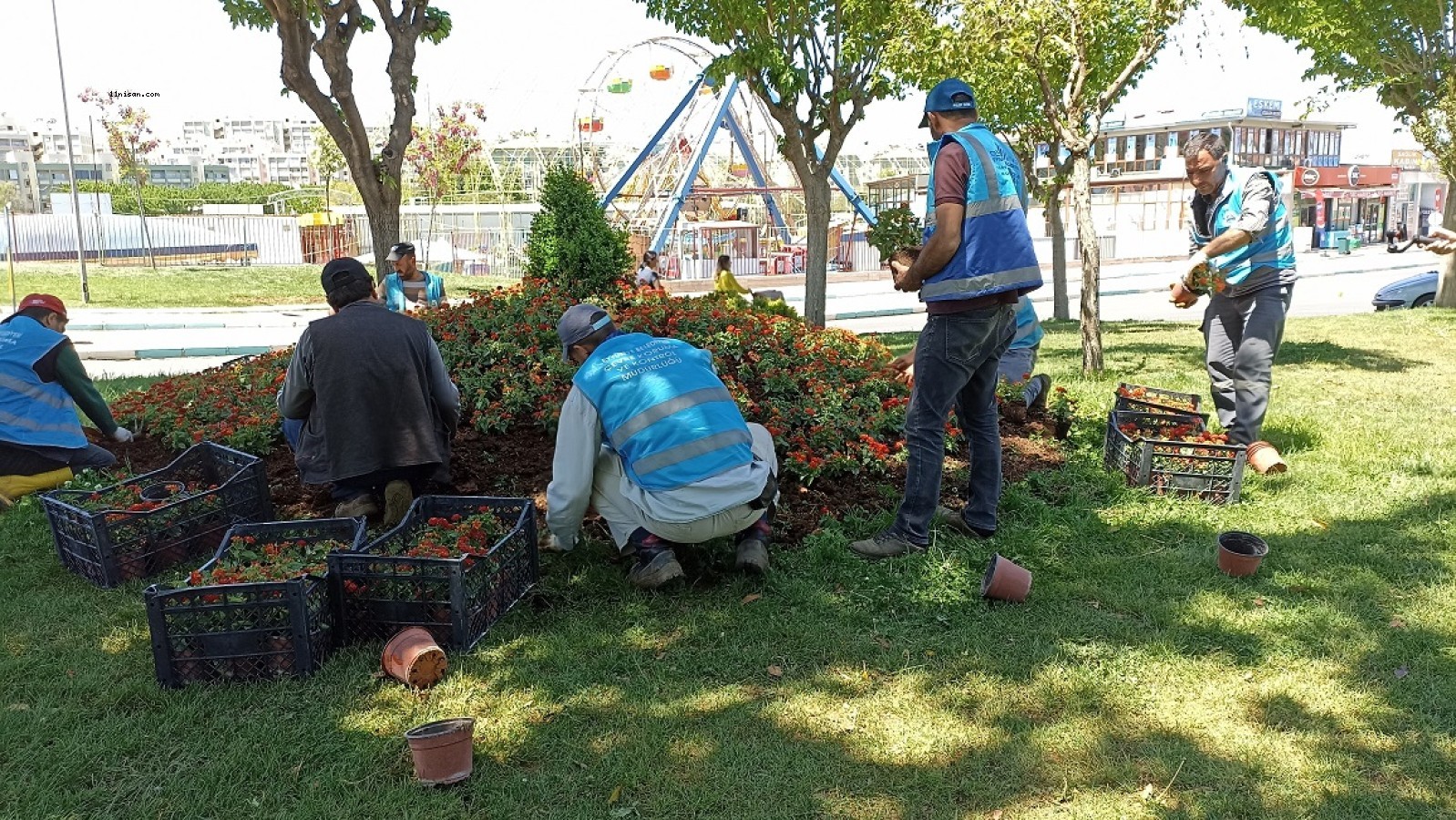 Eyyübiye parkları çiçeklerle renkleniyor;