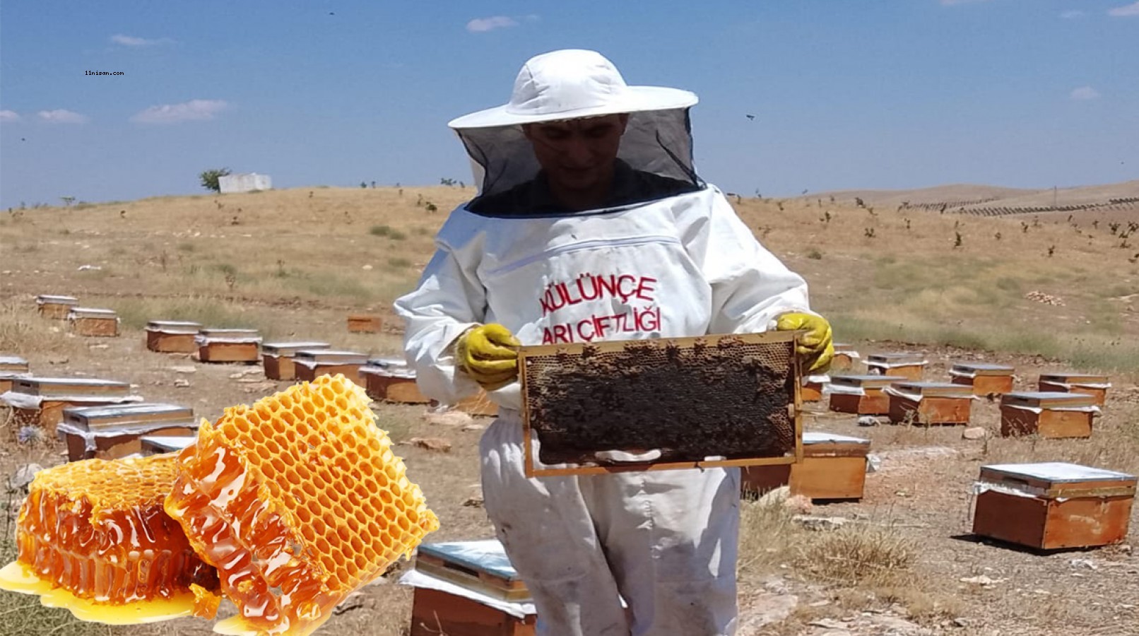 Külünçe balı Şanlıurfa’nın arıcılıkta büyüyen markası haline geldi;