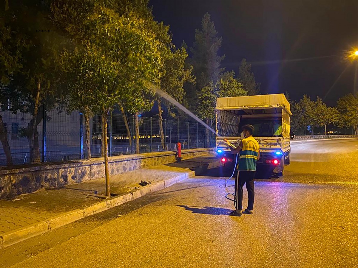 Siverek’te ağaçlar haşerelere karşı ilaçlanıyor;