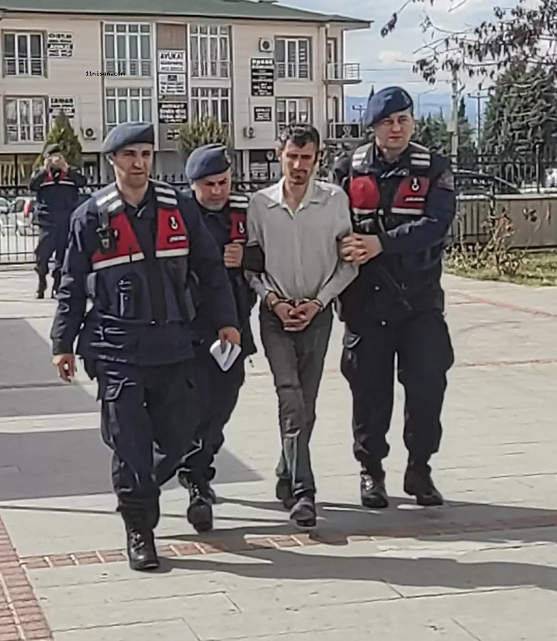 YAYLADA KORKUNÇ OLAY...