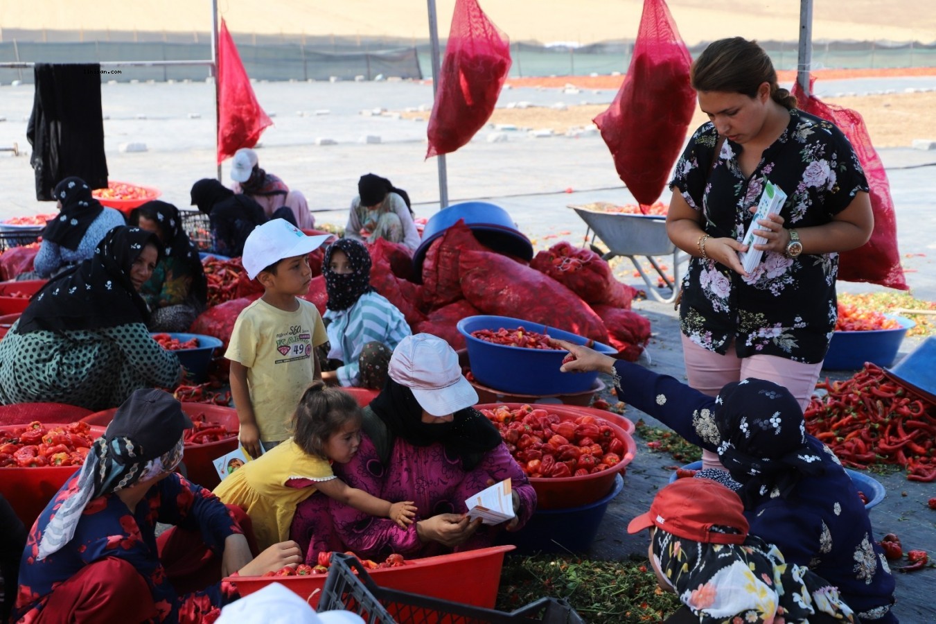 İsot işçilerine ‘güneş çarpması’ uyarısı!;