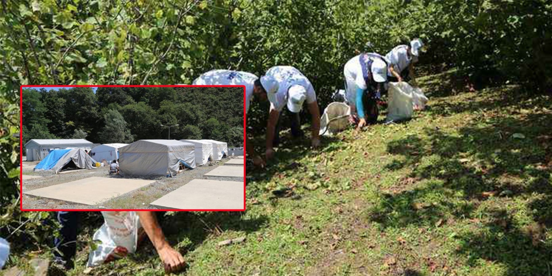 Urfalı tarım işçileri vali ve milletvekillerine seslendi!;