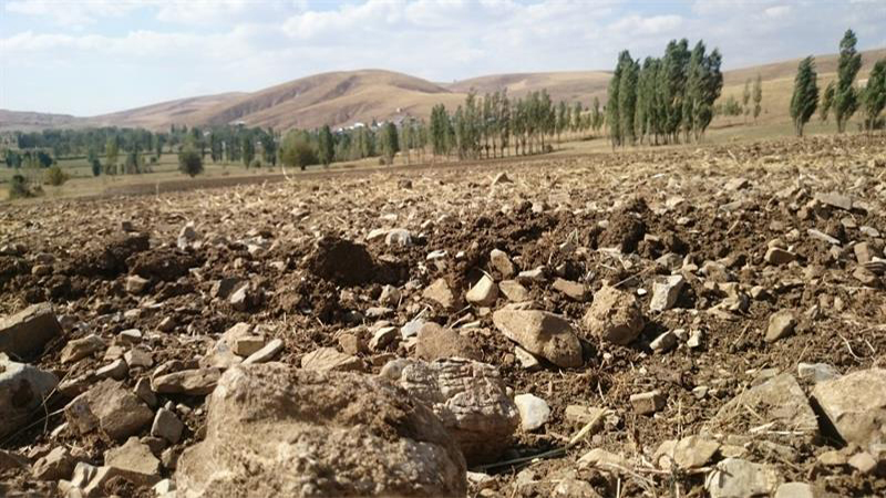 Halfeti'de tarlada akıma kapılan çocuk hayatını kaybetti;