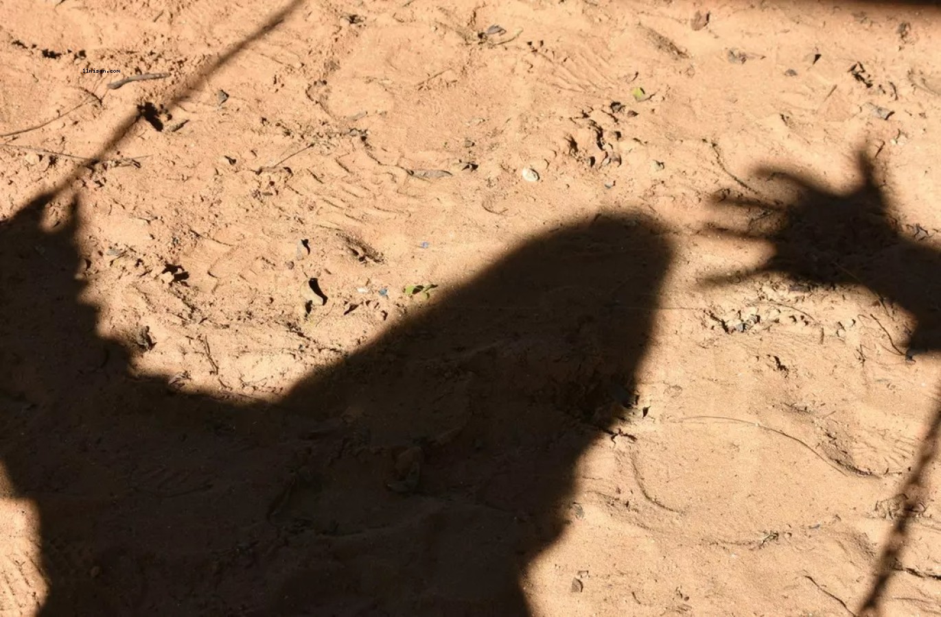 Henüz 5 yaşındaydı... Cinsel istismarda bulunup, boğarak öldürmüşler! Şanlıurfa'daki hastane raporu ortaya çıktı