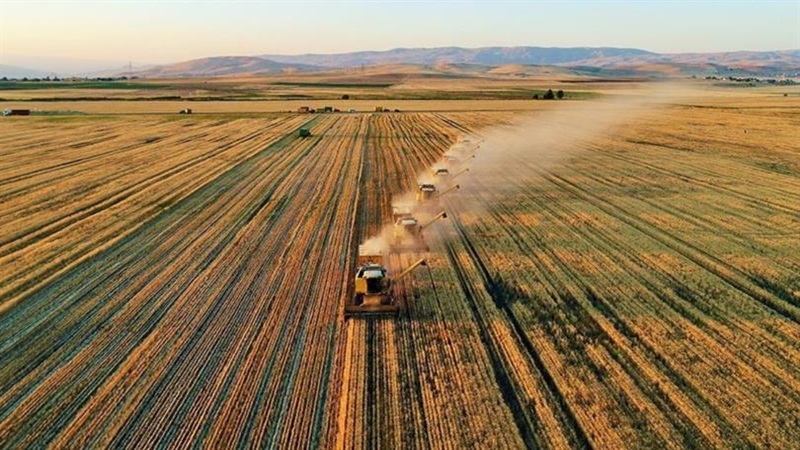 Tarım ve Orman Bakanlığından “33 soruda planlı üretim” rehberi;