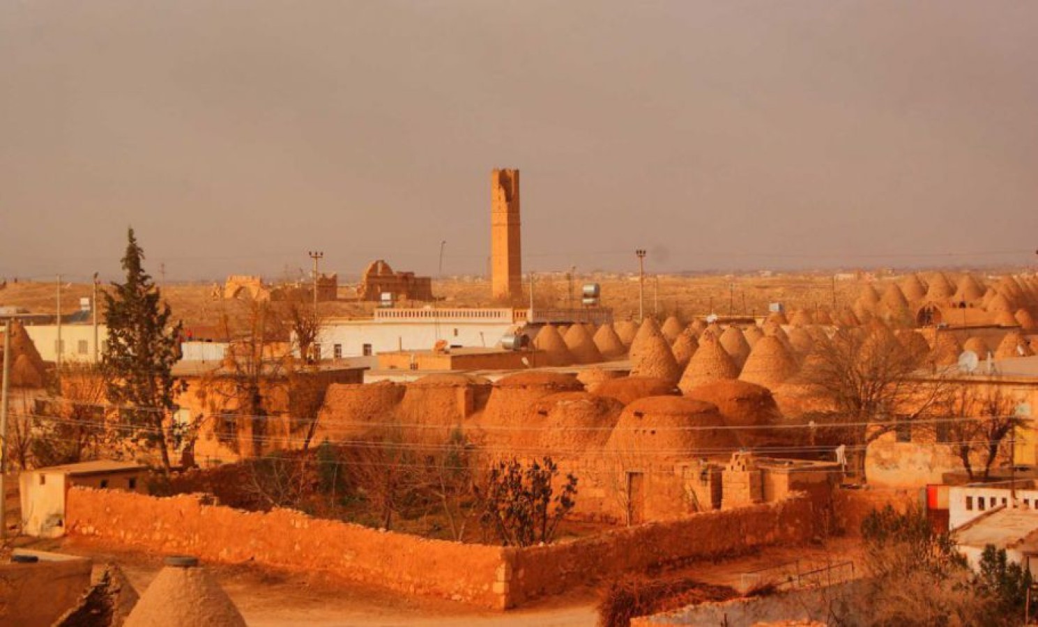 ŞANLIURFA İLÇELERİ