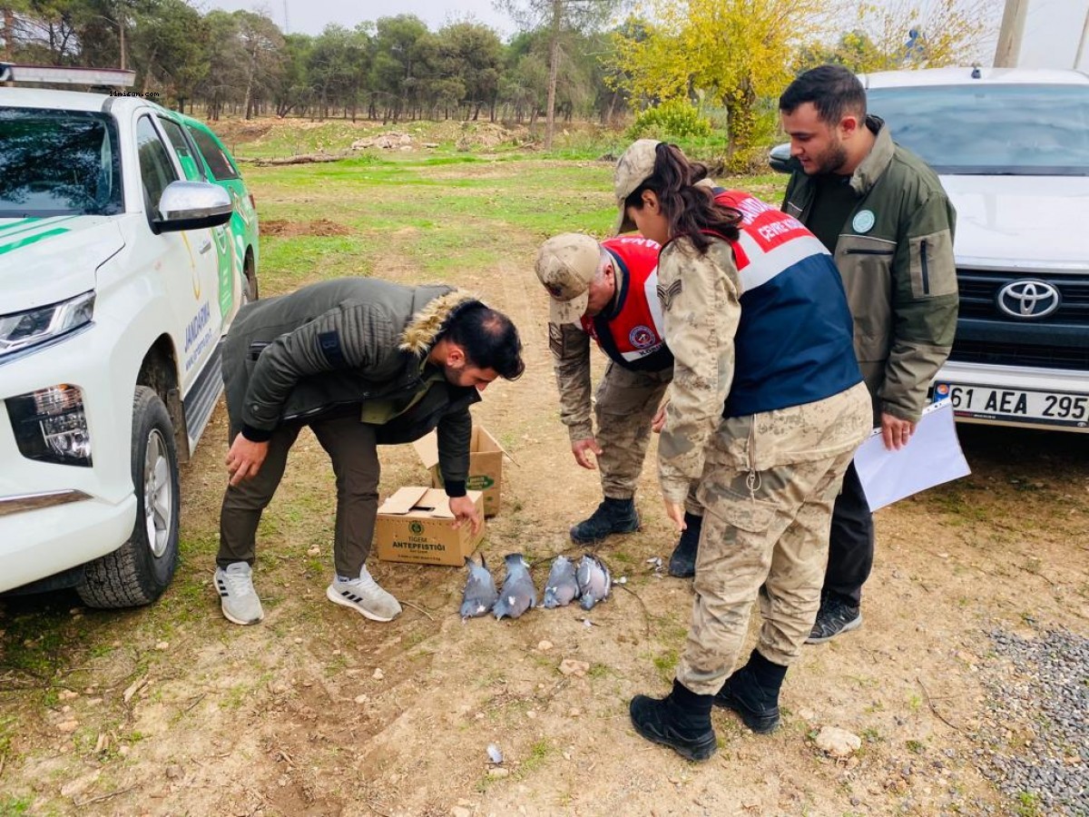 Ceylanpınar’da yasa dışı yollarla avcılık yapan şahsa ceza kesildi;