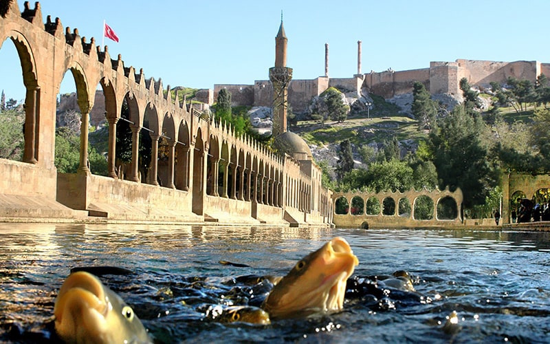 URFA ÇALIŞMA GRUBU'NDAN KENTİN TURİZM VE TARIM POTANSİYELİNE İLİŞKİN TAVSİYELER