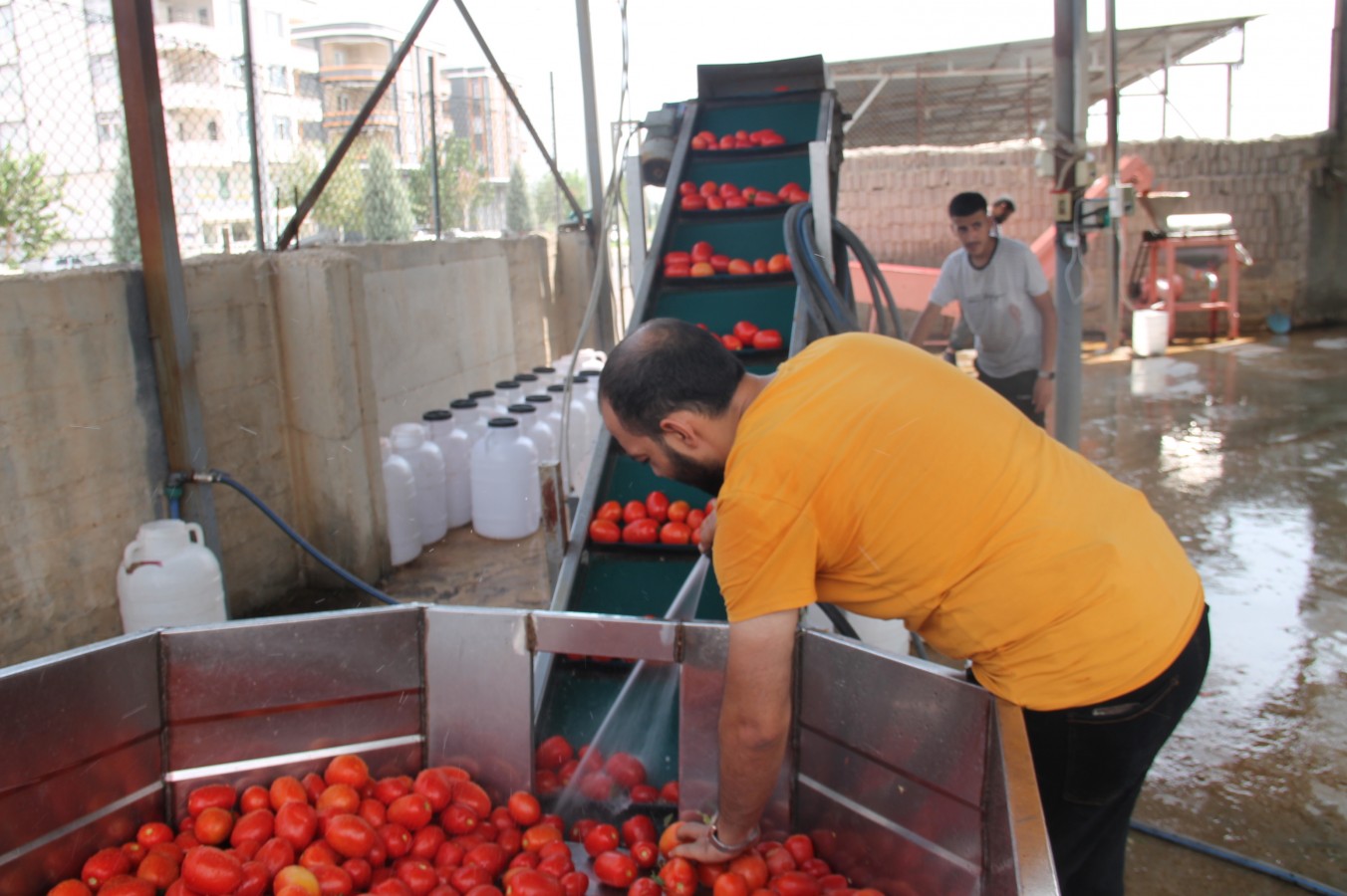Şanlıurfa'da mevsimlerden ‘kırmızı’;