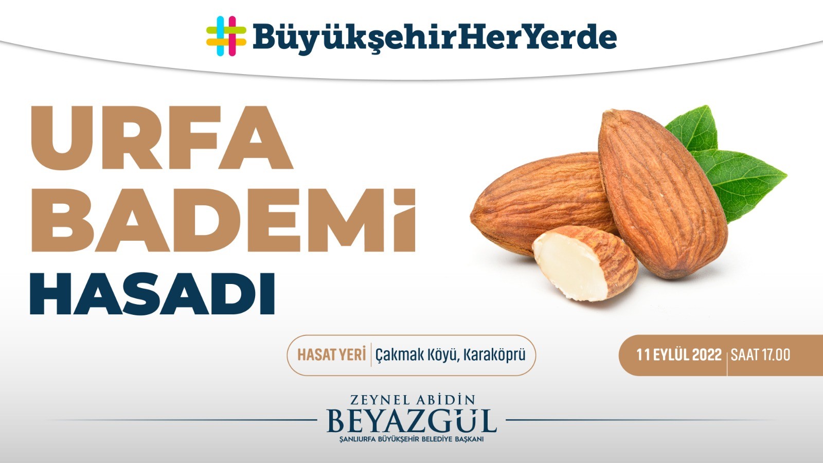 Şanlıurfa'da badem hasadı etkinliği düzenlenecek;