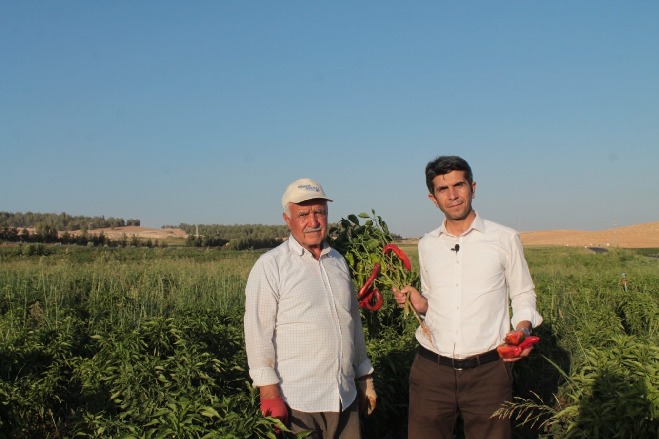 HÜDA PAR İl Başkanı'ndan Urfalı gençler için proje önerisi;