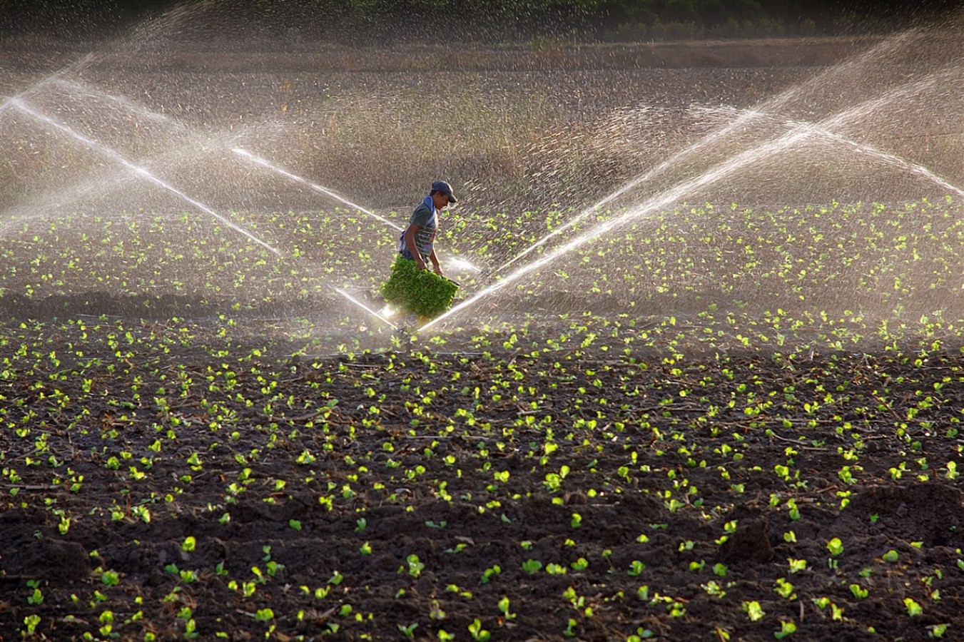 Elektrik faturaları hasat sonrası ödenebilecek;
