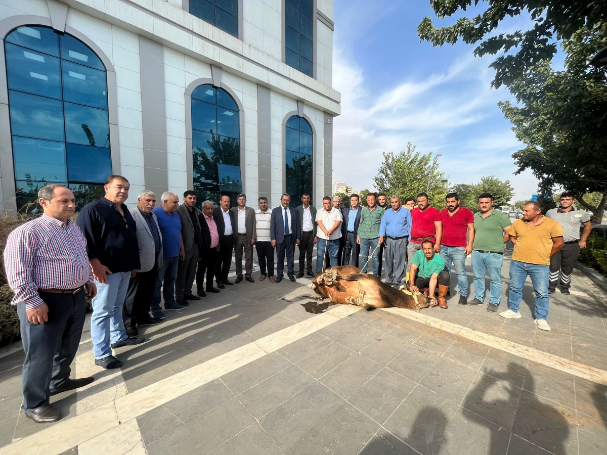 Başkan Kaya, tebrikleri kabul etmeye devam ediyor;
