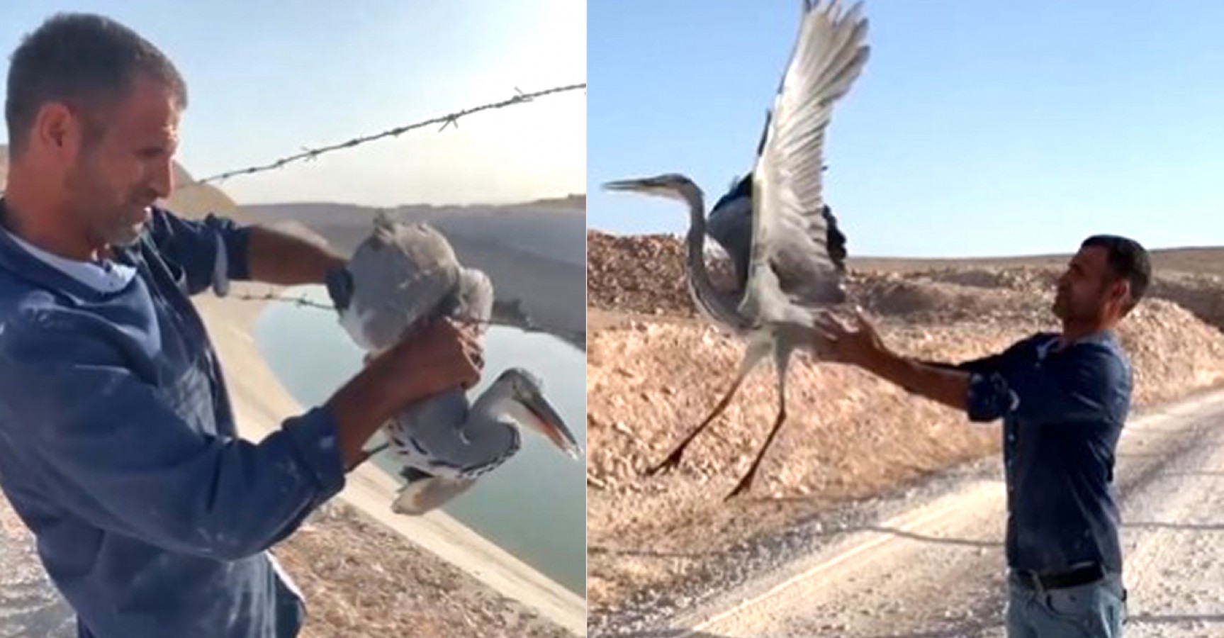 Urfa'da tellere takılan balıkçılı vatandaş kurtardı;