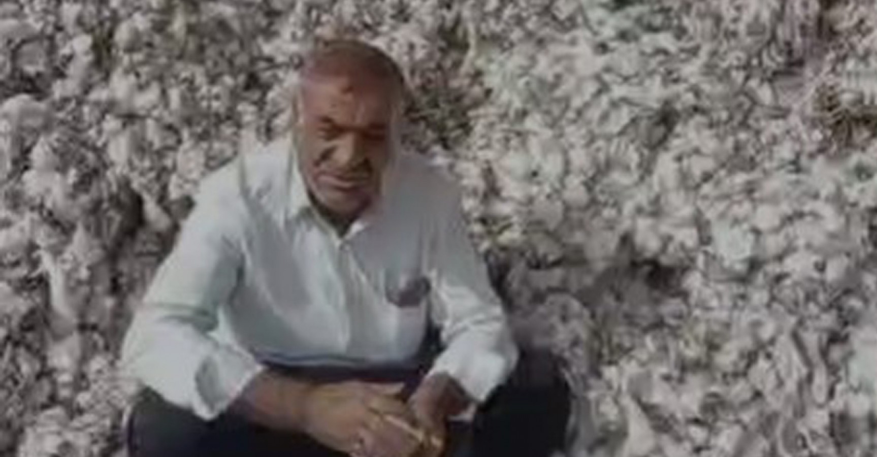 Urfalı pamuk çiftçisi tövbe etti! "Böbreğimi satsam da...";