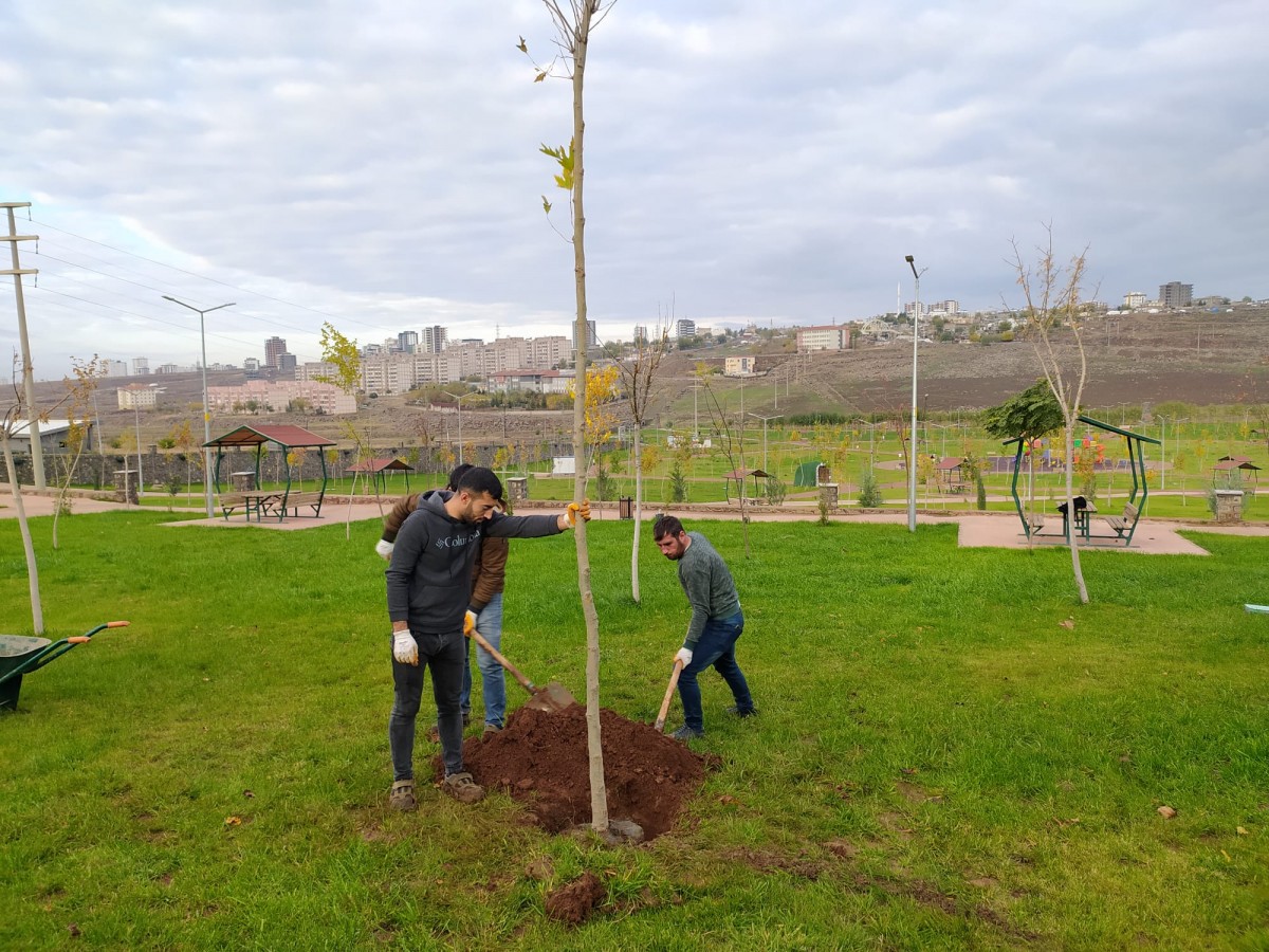 Siverek’te park ve bahçelere yeni ağaçlar dikildi;