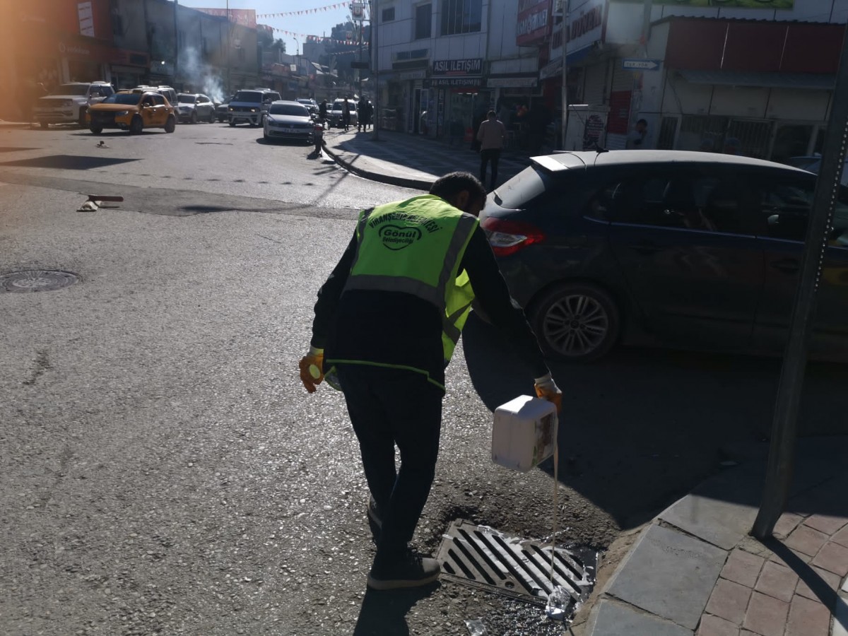 Viranşehir Belediyesi ilçede larva ilaçlama çalışması yaptı;