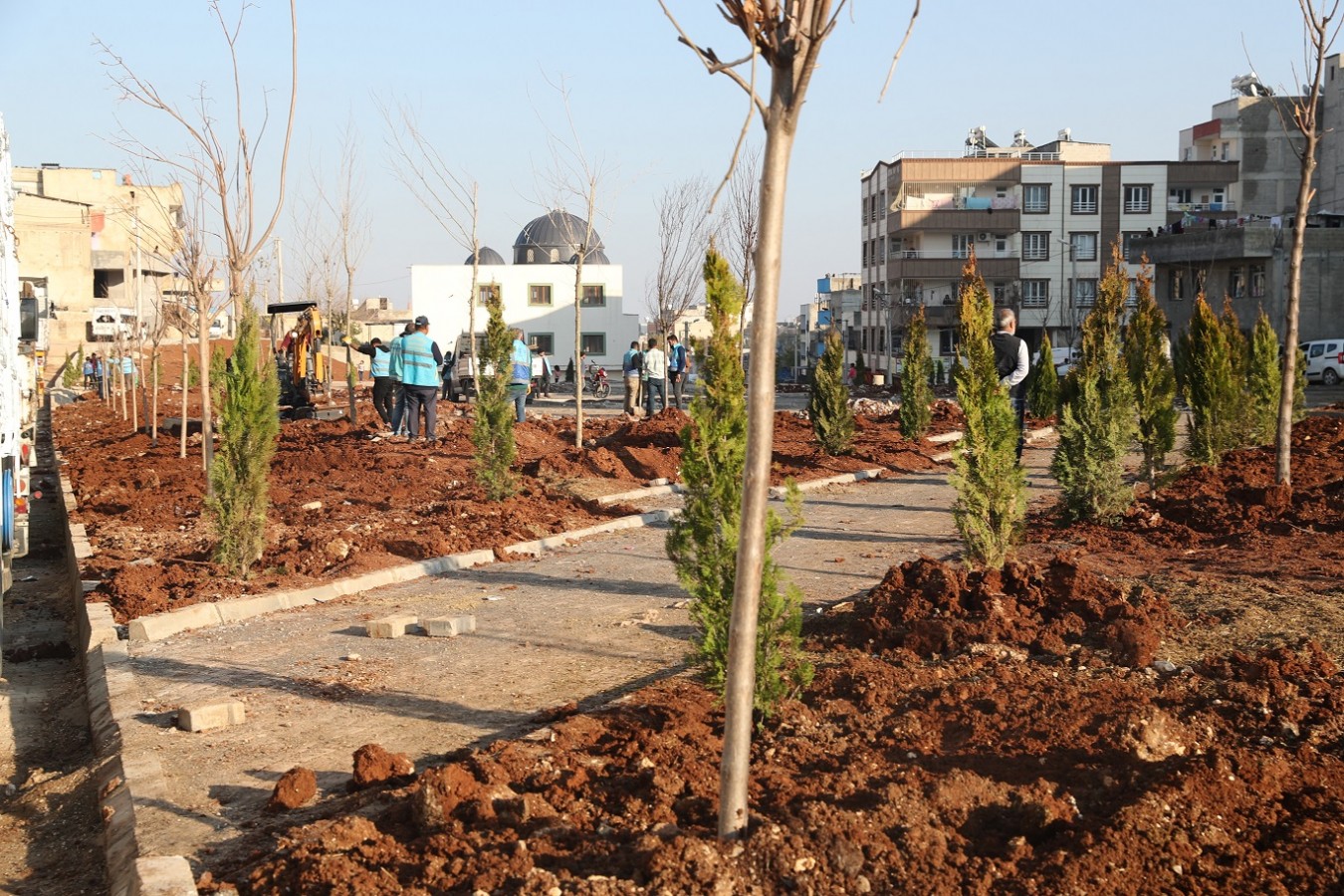 Kito Deresinde ağaçlandırma çalışmaları başladı;