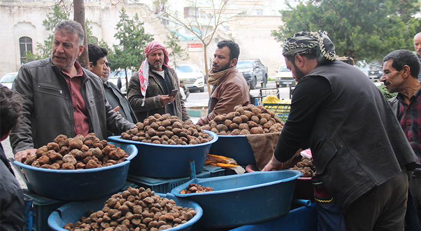 Keme fiyatı dudak uçuklatıyor;