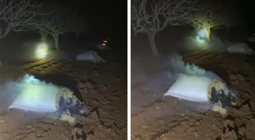 Urfa’da çiftçiden zirai dona karşı ilginç koruma;