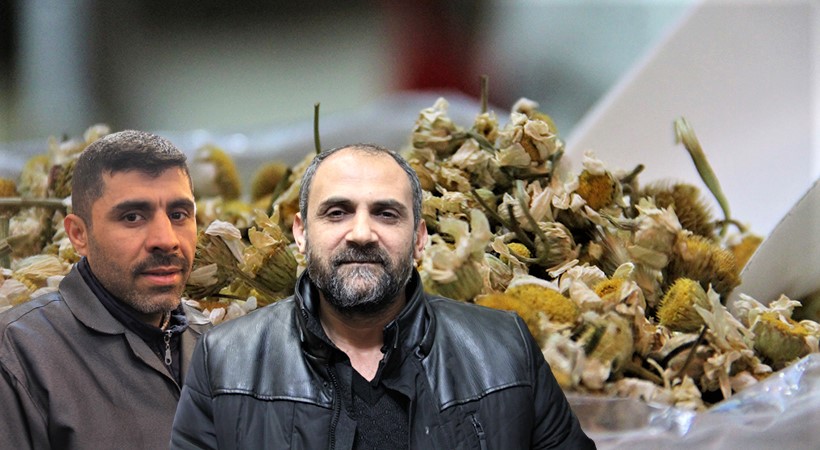 Siyasetteki bitkisel çay polemiğinden aktarlar memnun;