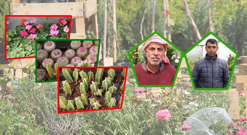 Deprem ve selden sonra şimdi de don korkusu;