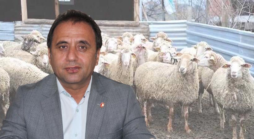Urfa’da şap hastalığı yok;