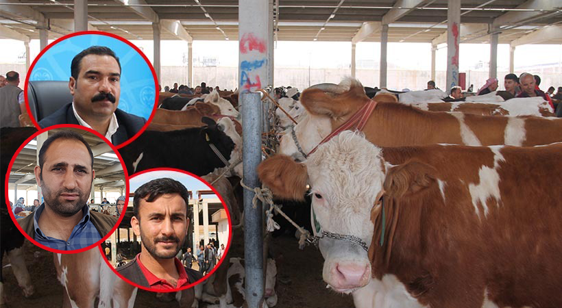 Kurban Bayramı yaklaşırken alıcı da satıcı fiyatlardan dertli;