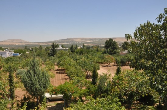 Şanlıurfa'da hazine arazisini satıp bitiren başka köye göz dikiyor;