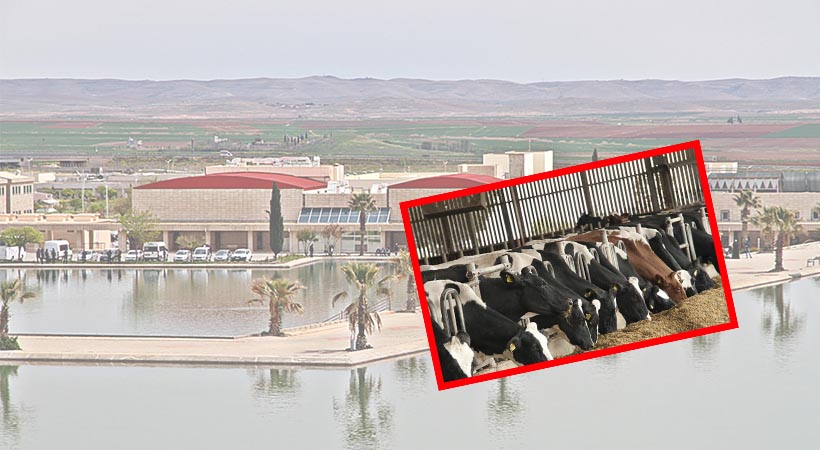 HRÜ tarafından ülke hayvancılığına önemli katkı sunacak proje geliştirildi;