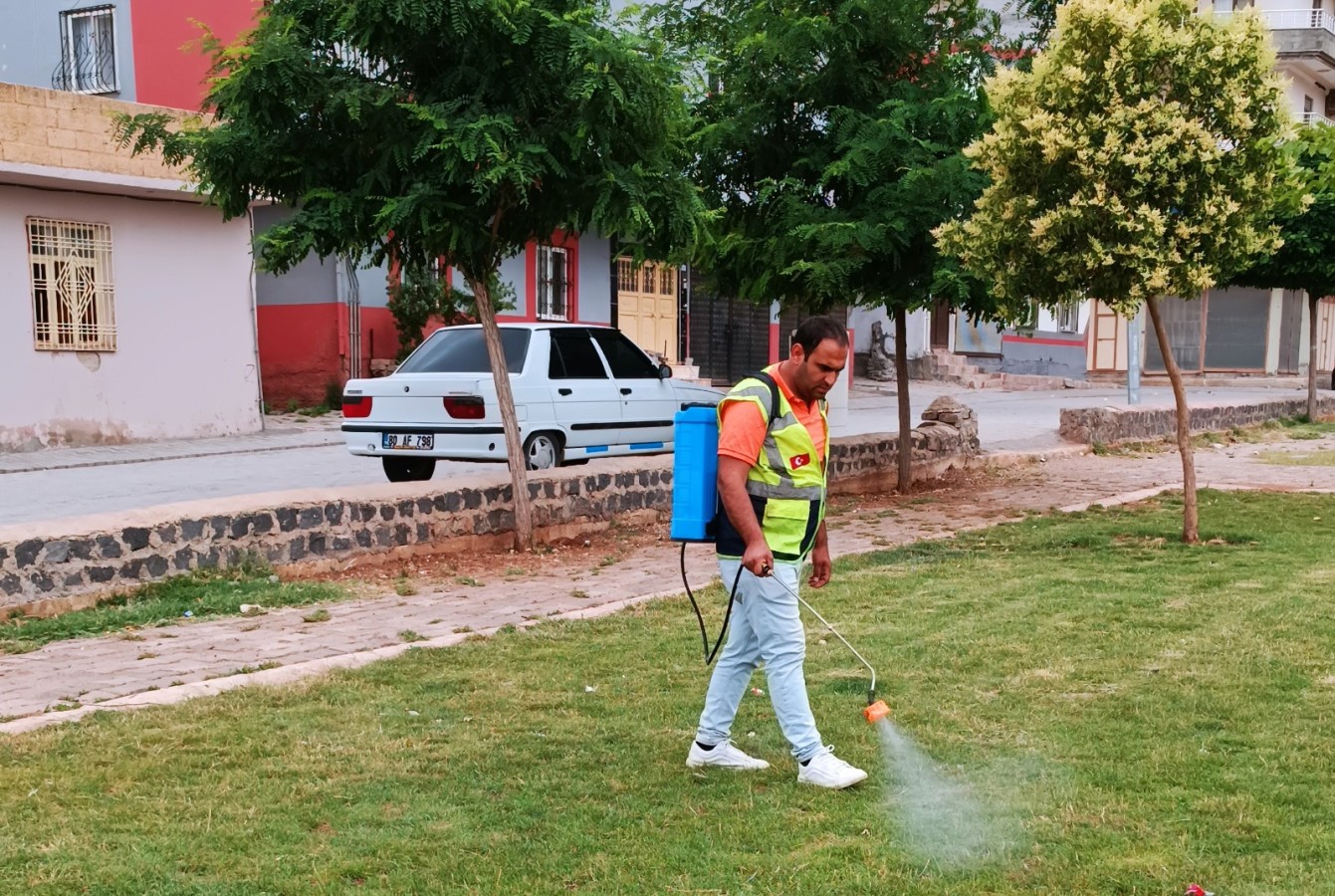 Viranşehir’de haşereyle mücadele sürüyor;
