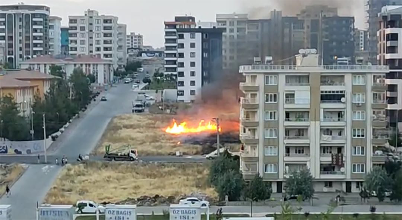 Şanlıurfa'da boş arsalardaki kuru otların yanması tehlike saçıyor;