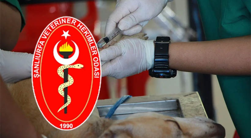 Urfa’da veteriner hekimler pazartesi iş bırakacak;