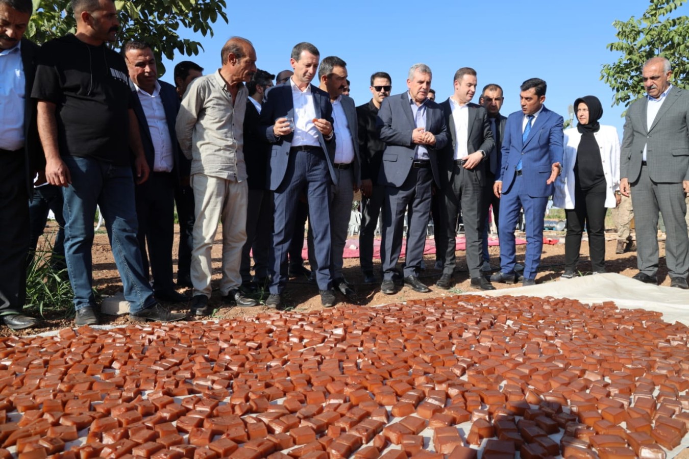 Şanlıurfa'da ‘Şire Şenliği’ renkli görüntülere sahne oldu;